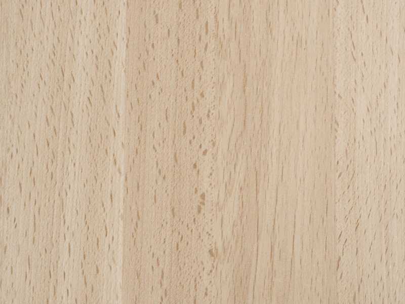 Bois de hêtre pour trophée sur mesure